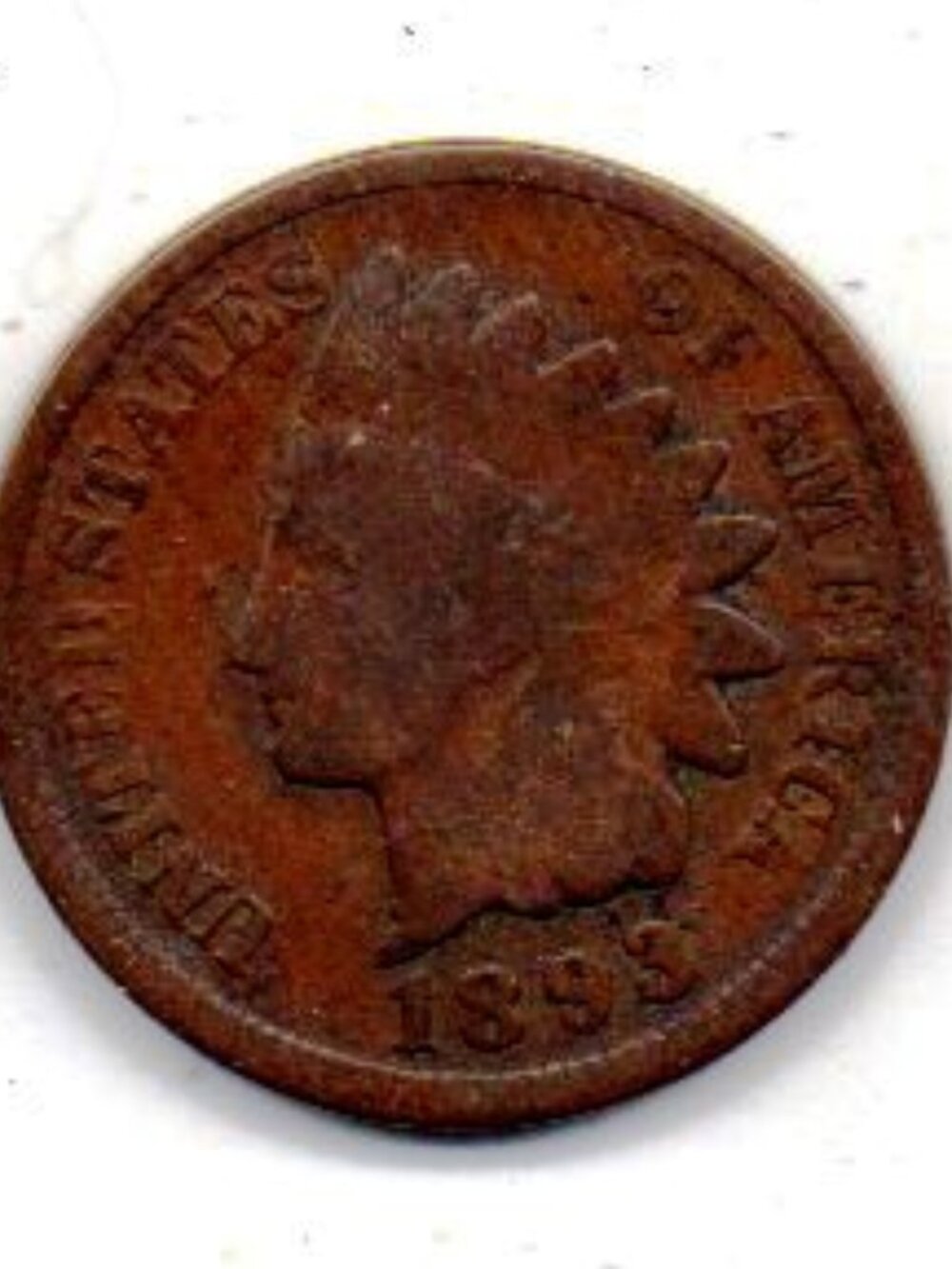 Granny Estate Find - 1893 Indian Head Cent